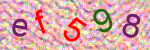 capcha